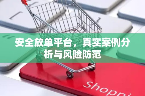 安全放单平台，真实案例分析与风险防范