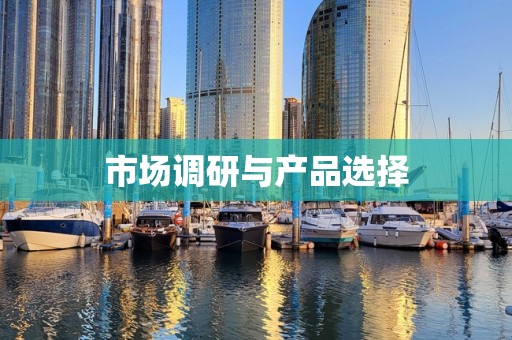 市场调研与产品选择