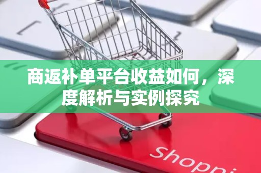 商返补单平台收益如何，深度解析与实例探究