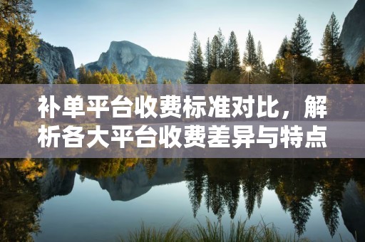 补单平台收费标准对比，解析各大平台收费差异与特点