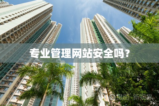专业管理网站安全吗？