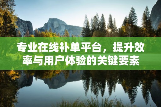 专业在线补单平台，提升效率与用户体验的关键要素