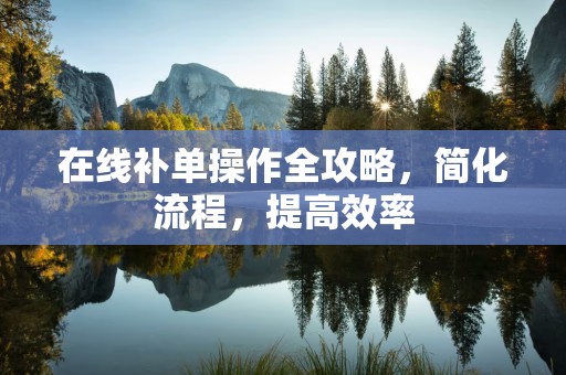 在线补单操作全攻略，简化流程，提高效率
