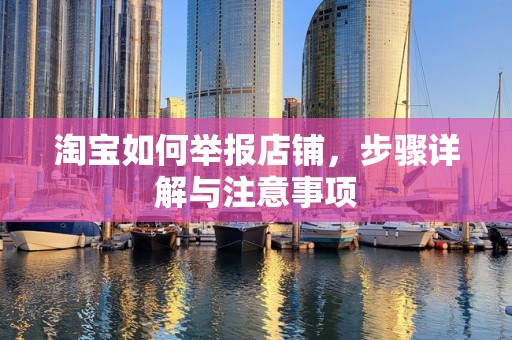 淘宝如何举报店铺，步骤详解与注意事项