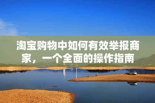 淘宝购物中如何有效举报商家，一个全面的操作指南