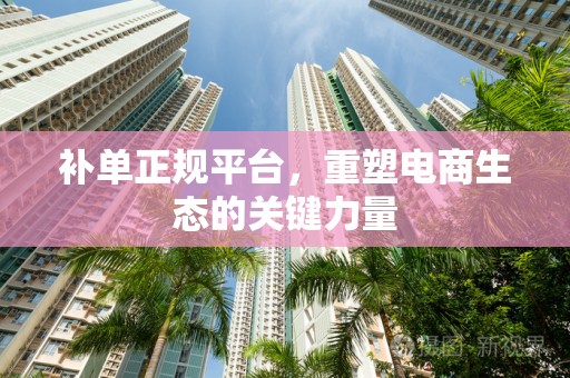 补单正规平台，重塑电商生态的关键力量