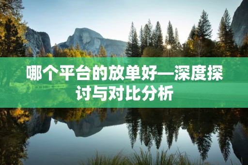 哪个平台的放单好—深度探讨与对比分析
