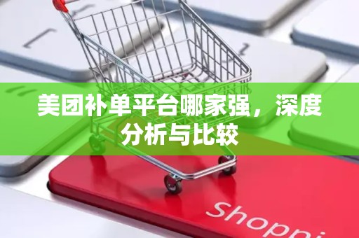 美团补单平台哪家强，深度分析与比较