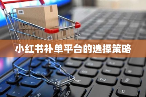 小红书补单平台的选择策略