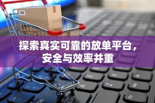探索真实可靠的放单平台，安全与效率并重