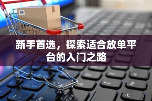 新手首选，探索适合放单平台的入门之路