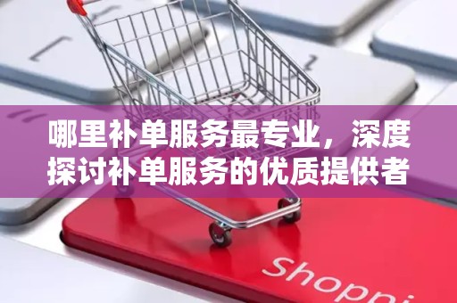 哪里补单服务最专业，深度探讨补单服务的优质提供者