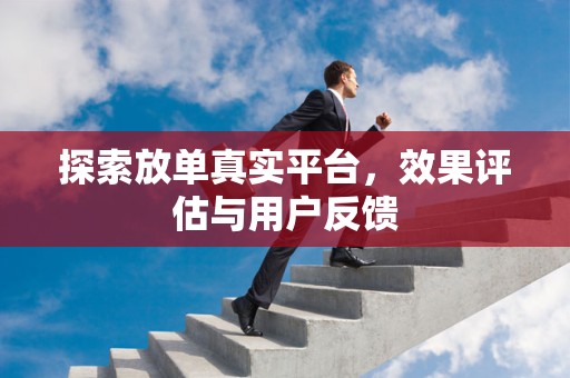 探索放单真实平台，效果评估与用户反馈