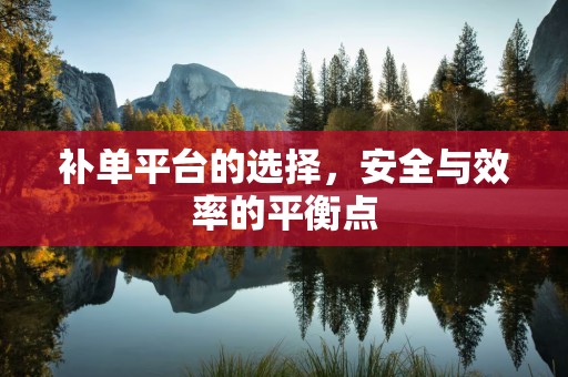 补单平台的选择，安全与效率的平衡点