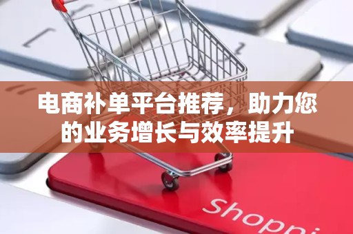 电商补单平台推荐，助力您的业务增长与效率提升