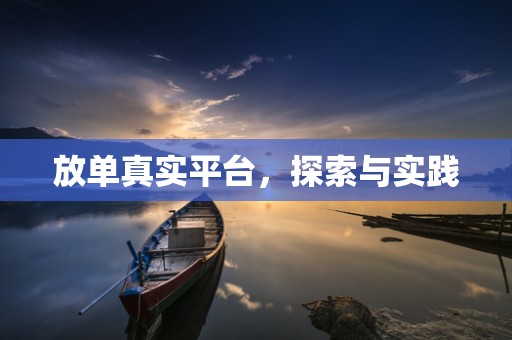 放单真实平台，探索与实践