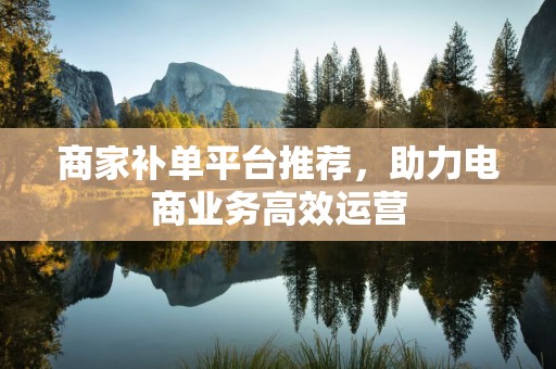 商家补单平台推荐，助力电商业务高效运营