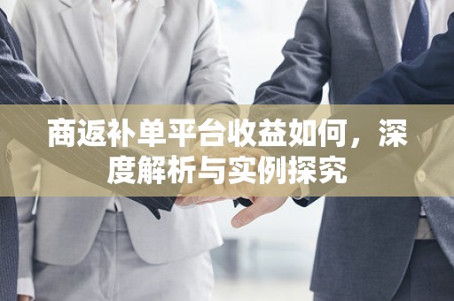 商返补单平台收益如何，深度解析与实例探究
