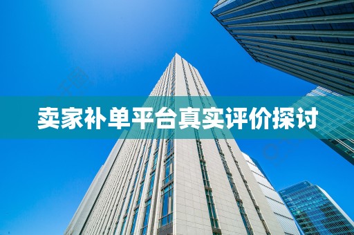 卖家补单平台真实评价探讨