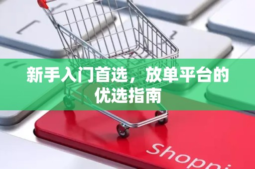 新手入门首选，放单平台的优选指南