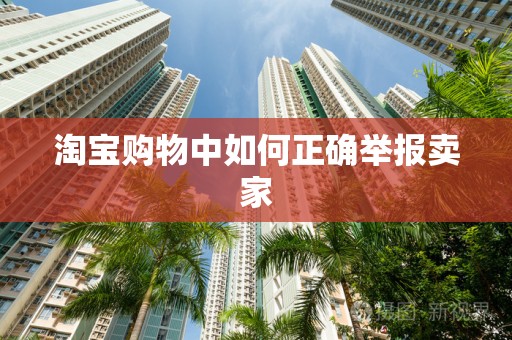 淘宝购物中如何正确举报卖家