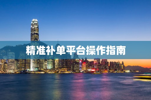 精准补单平台操作指南