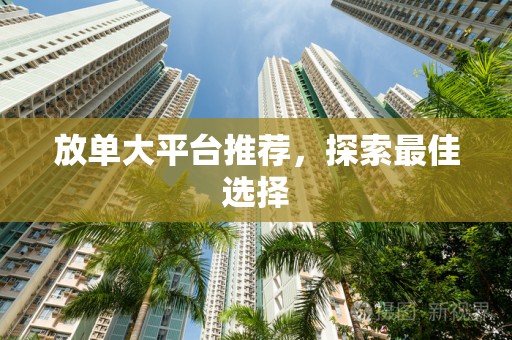 放单大平台推荐，探索最佳选择