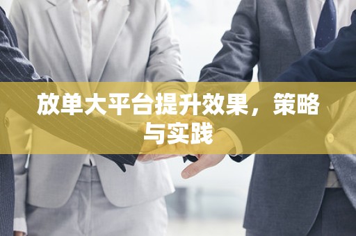 放单大平台提升效果，策略与实践