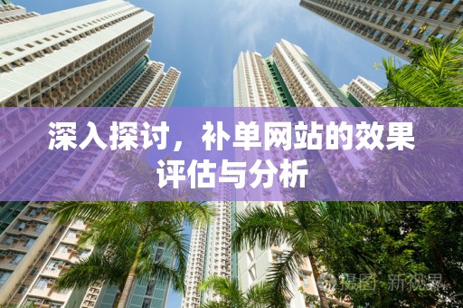 深入探讨，补单网站的效果评估与分析