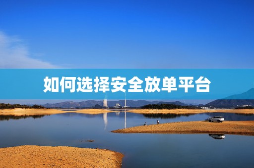 如何选择安全放单平台