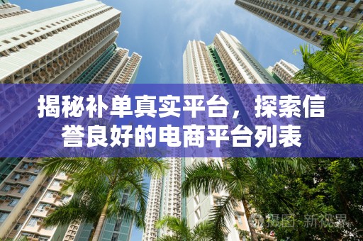 揭秘补单真实平台，探索信誉良好的电商平台列表