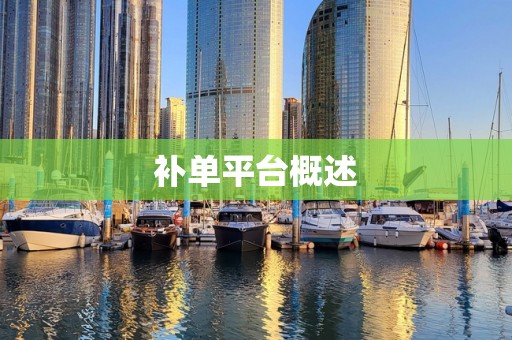 补单平台概述