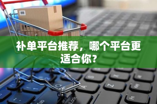补单平台推荐，哪个平台更适合你？