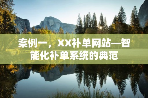 案例一，XX补单网站—智能化补单系统的典范