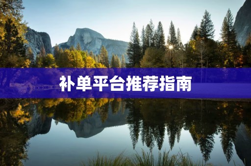 补单平台推荐指南