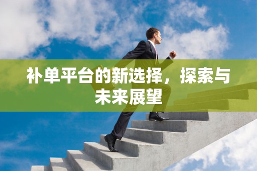 补单平台的新选择，探索与未来展望