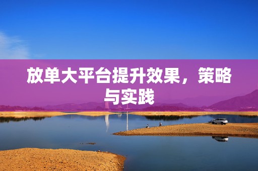 放单大平台提升效果，策略与实践