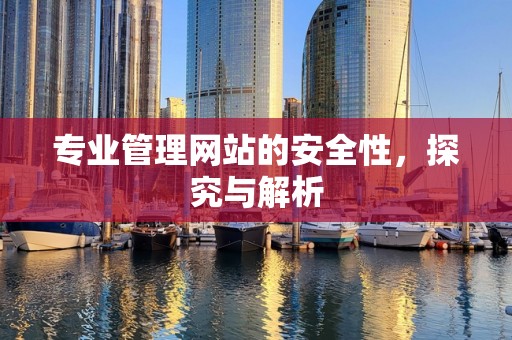 专业管理网站的安全性，探究与解析