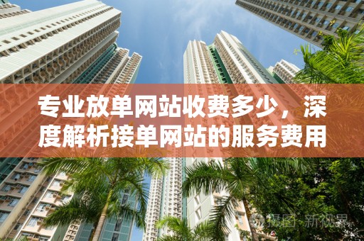 专业放单网站收费多少，深度解析接单网站的服务费用与运营模式