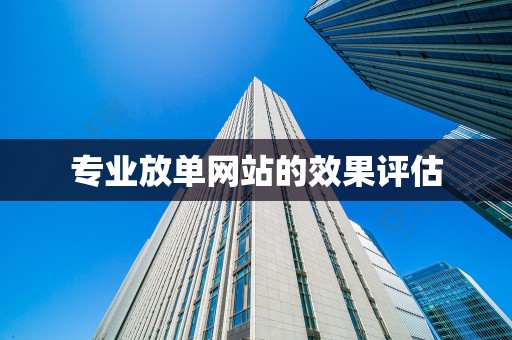 专业放单网站的效果评估