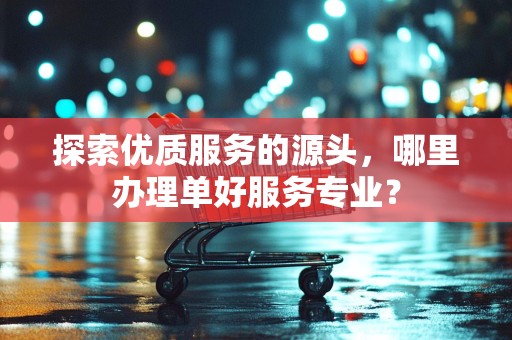 探索优质服务的源头，哪里办理单好服务专业？