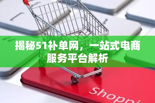 揭秘51补单网，一站式电商服务平台解析