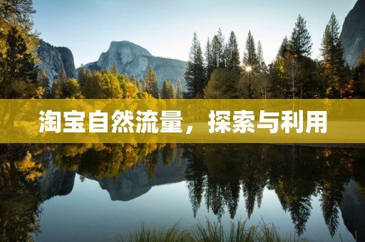 淘宝自然流量，探索与利用