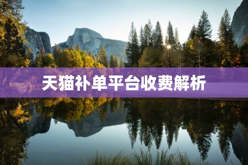 天猫补单平台收费解析