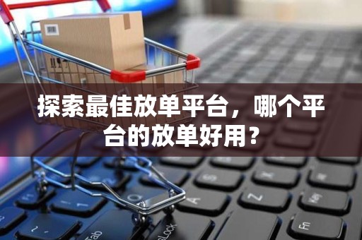 探索最佳放单平台，哪个平台的放单好用？