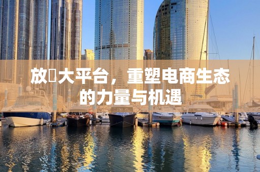 放單大平台，重塑电商生态的力量与机遇