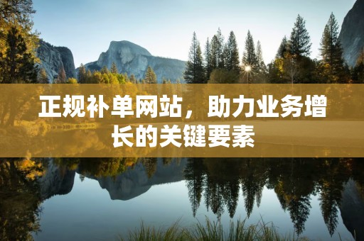 正规补单网站，助力业务增长的关键要素