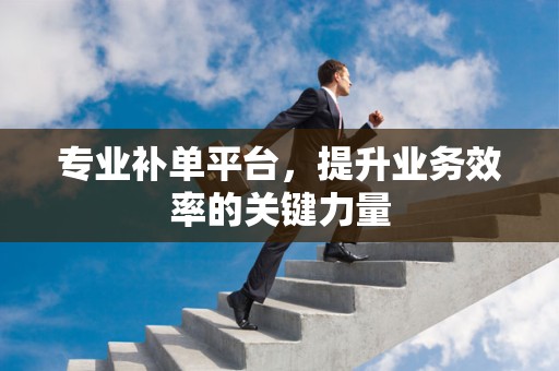 专业补单平台，提升业务效率的关键力量