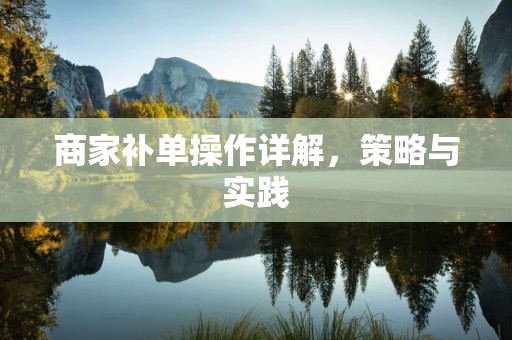 商家补单操作详解，策略与实践