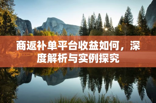 商返补单平台收益如何，深度解析与实例探究